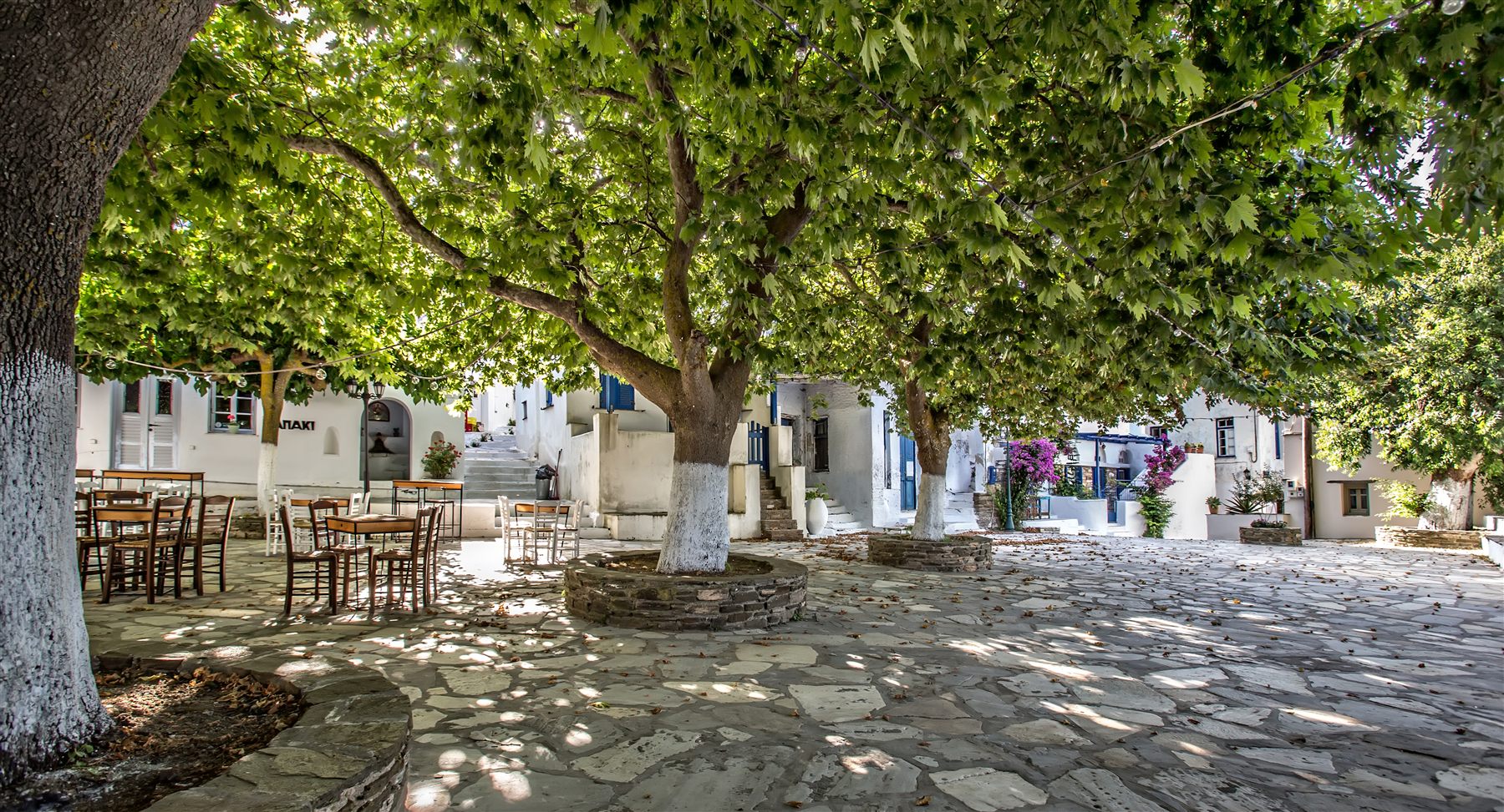 The shaded plane-tree square at Dyo Choria, with tavern tables and a marble fountain