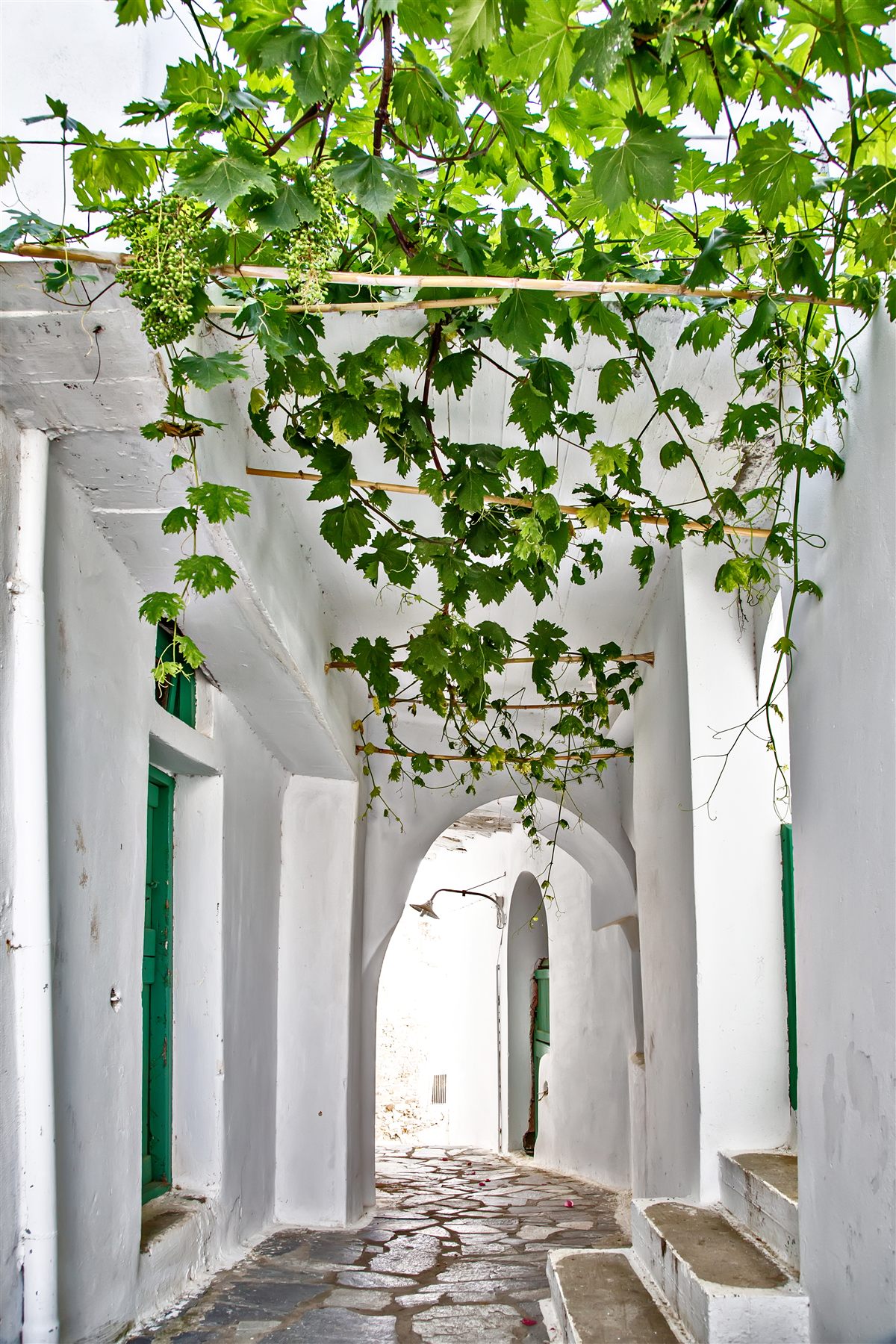 A vine-shaded marble alley in Falatados, the wine village
